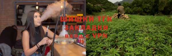 прущие крисы Медвежьегорск