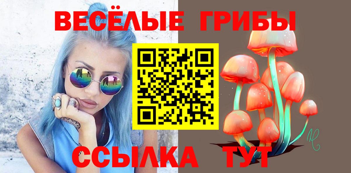Самара  Псилоцибиновые грибы Magic Shrooms  купить   Вход с VPN 
